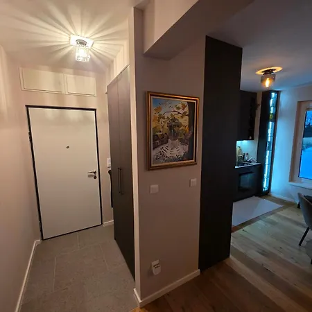 Apartament Magnific *