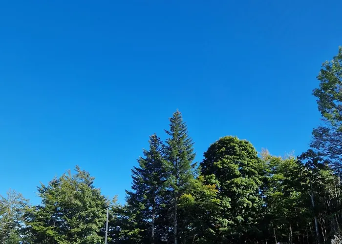 Magnific Apartament Bjelašnica