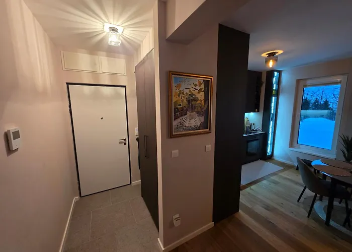 Apartament Magnific *